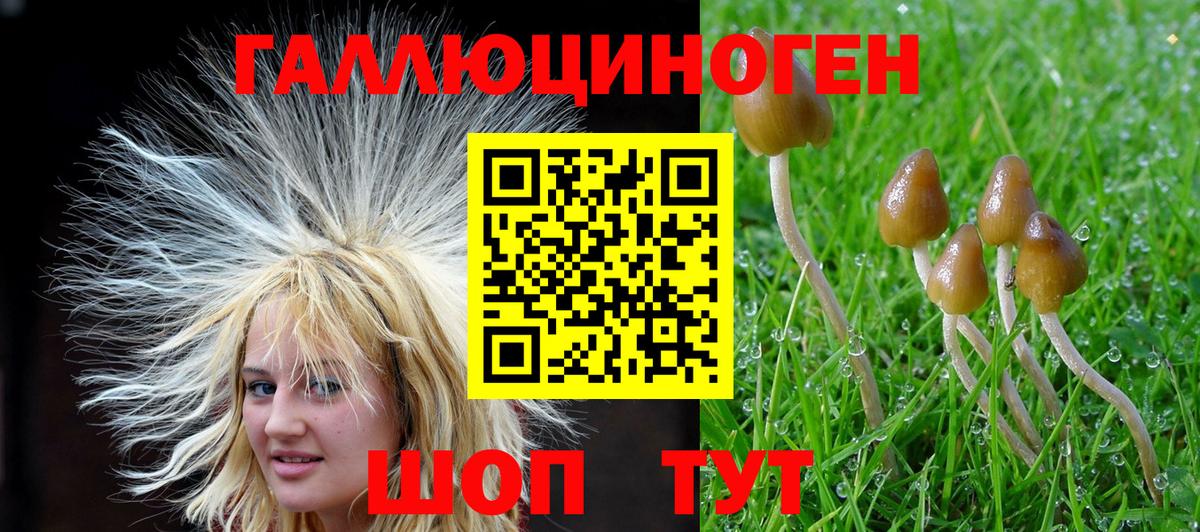 Галлюциногенные грибы Magic Shrooms  Вход с VPN  Псилоцибиновые грибы Magic Shrooms  Магадан 