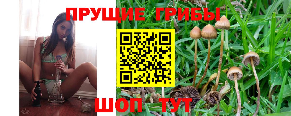 Галлюциногенные грибы мухоморы Магадан